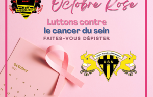 OCTOBRE ROSE 31 ANS DEJA