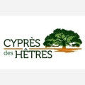 CYPRES DES HETRES